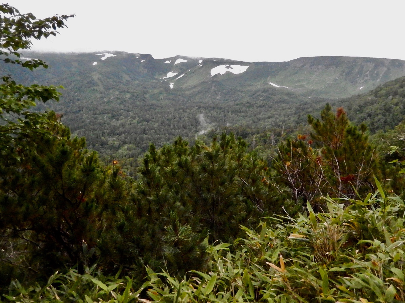 展望台からの風景