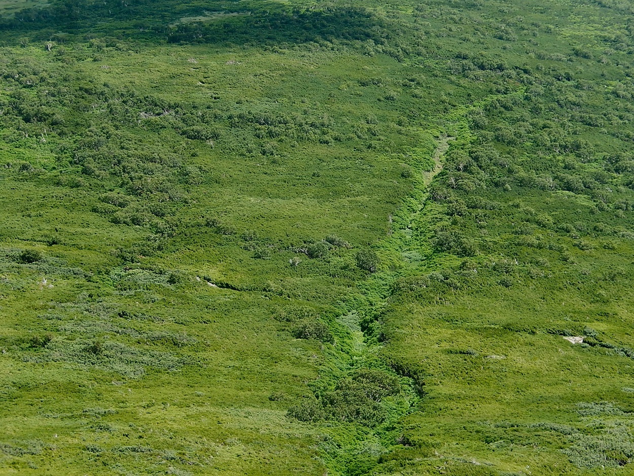 ハイマツ廊下の遠景