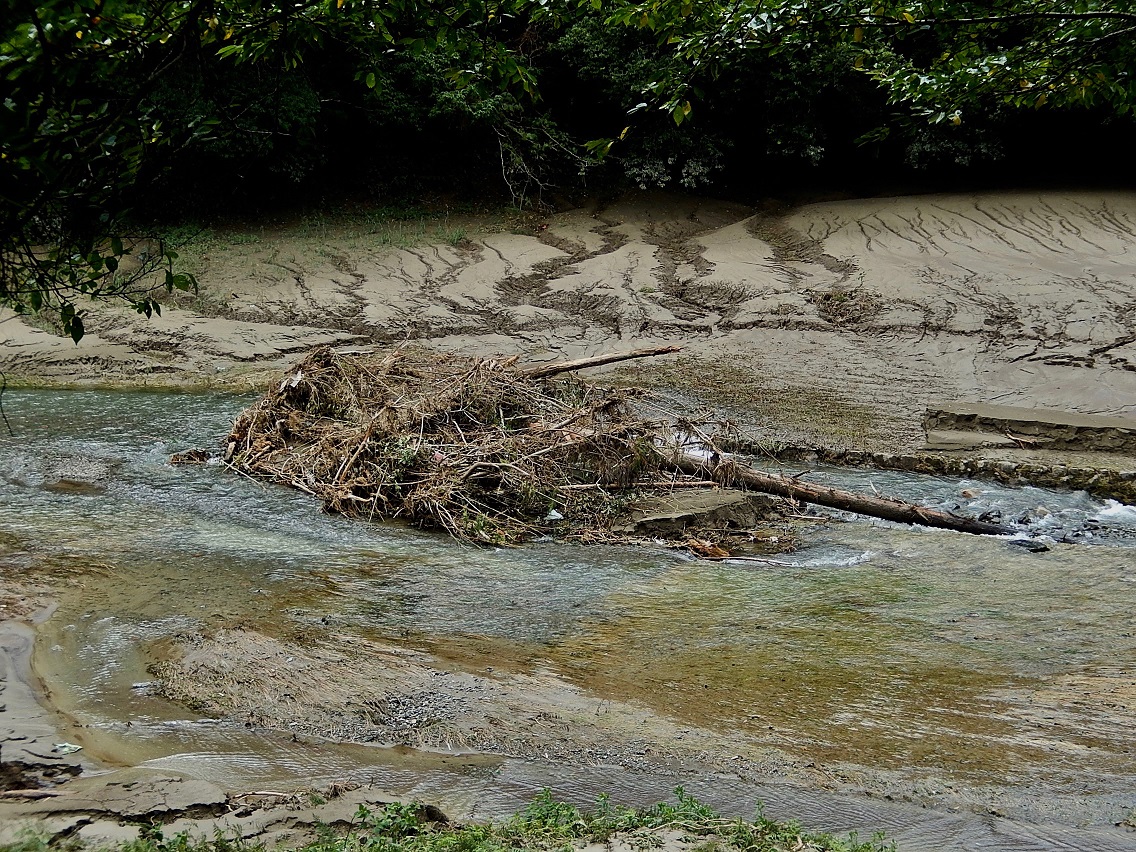大雨後の風景1
