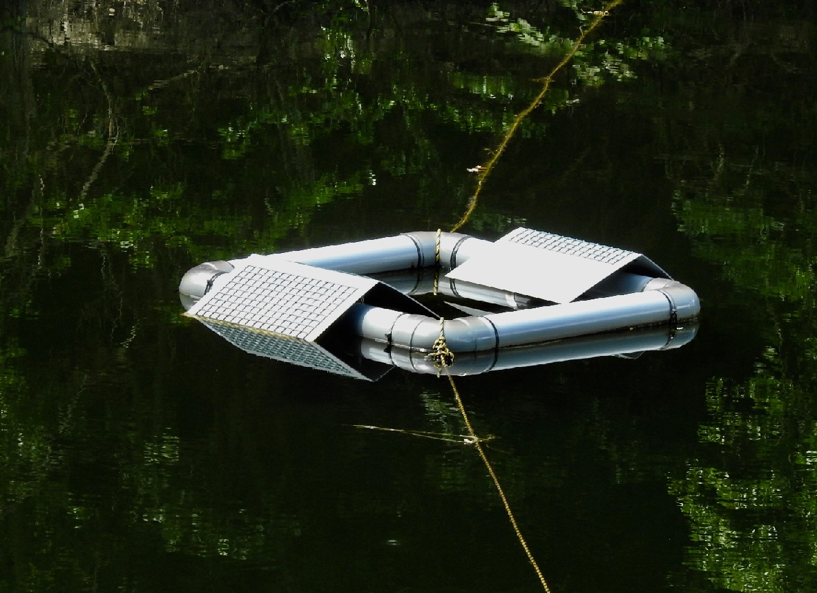 ミシシッピーアカミミガメのトラップ